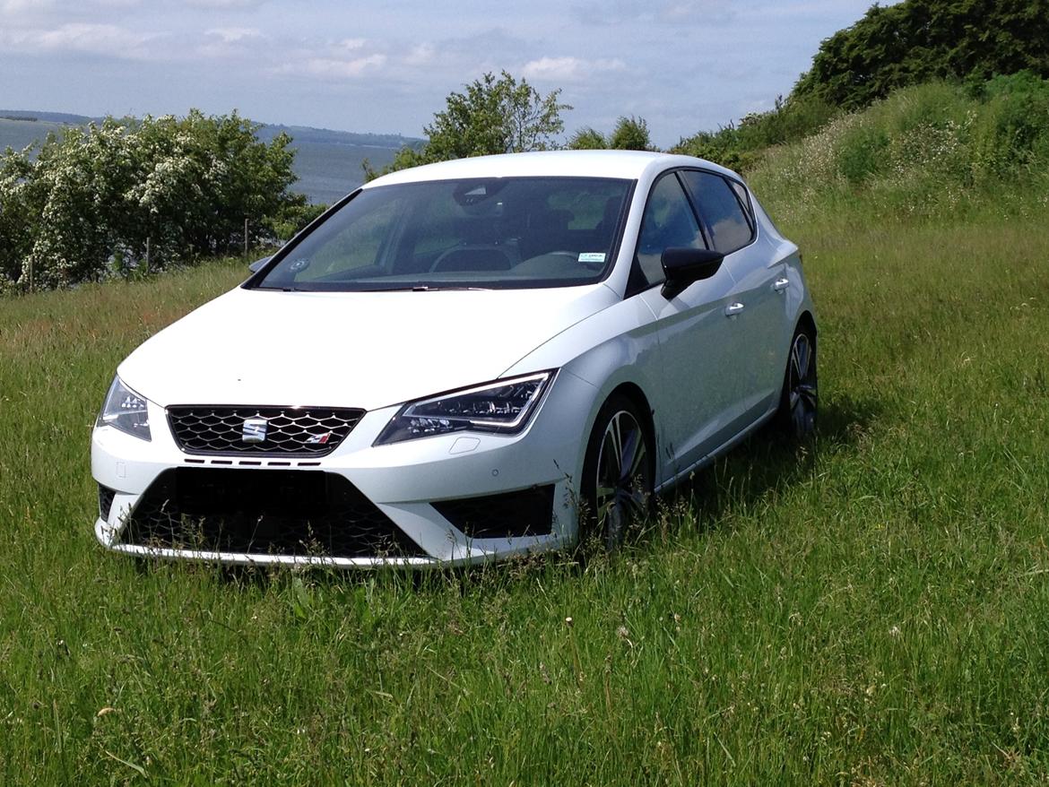 Seat Leon Cupra billede 1