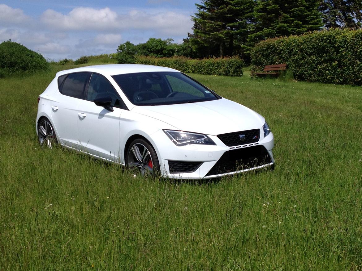 Seat Leon Cupra billede 3