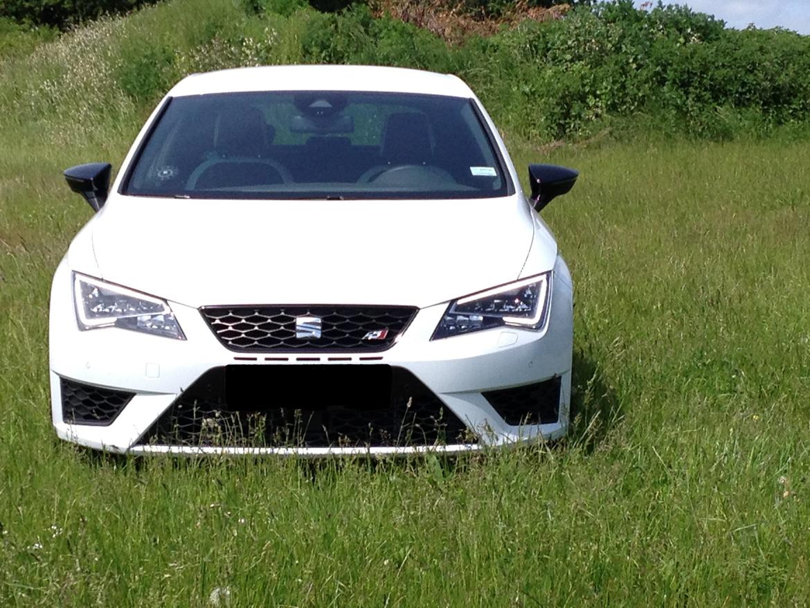 Seat Leon Cupra billede 2