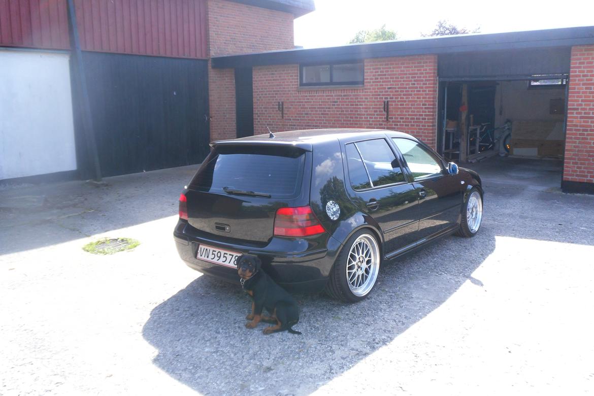 VW Golf IV GTI Turbo solgt - Vagthunden ;) billede 8