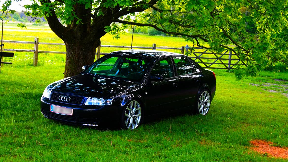 Audi A4 B6 1.9 TDI billede 10