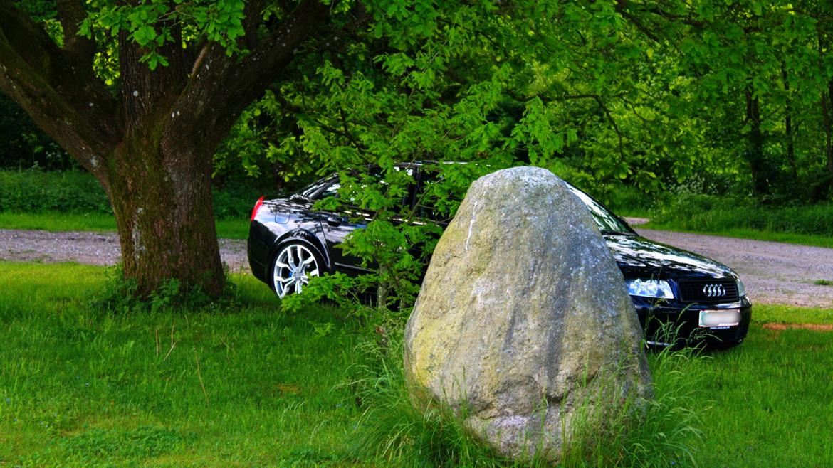 Audi A4 B6 1.9 TDI billede 11