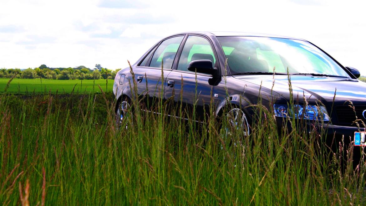 Audi A4 B6 1.9 TDI billede 12