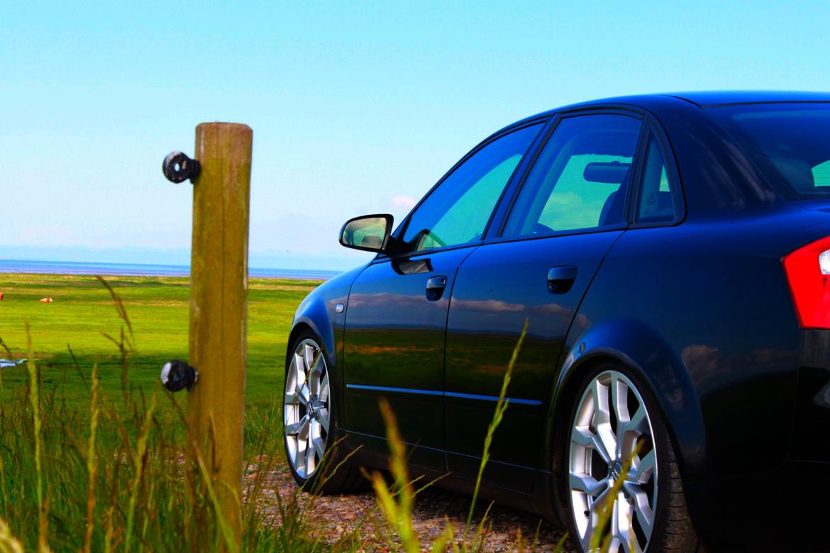 Audi A4 B6 1.9 TDI billede 13