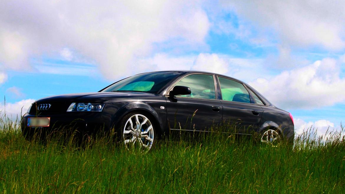 Audi A4 B6 1.9 TDI billede 16