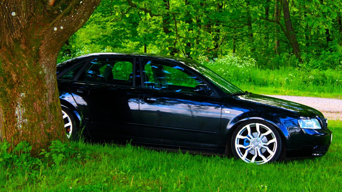 Audi A4 B6 1.9 TDI billede 18