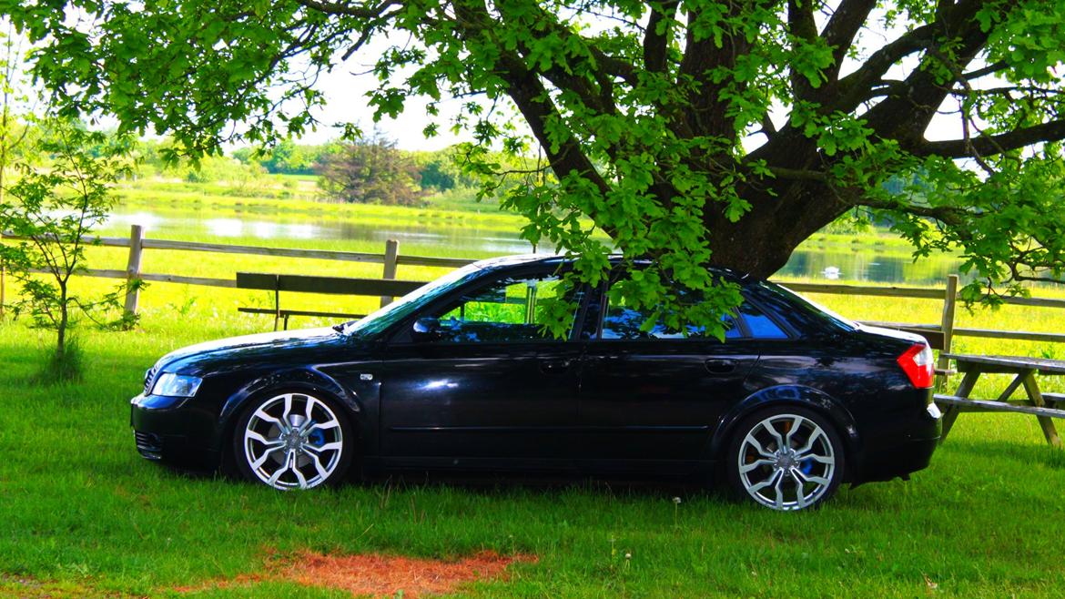 Audi A4 B6 1.9 TDI billede 17