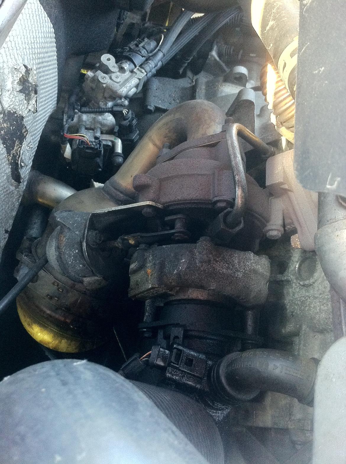 VW Lupo 3L billede 10