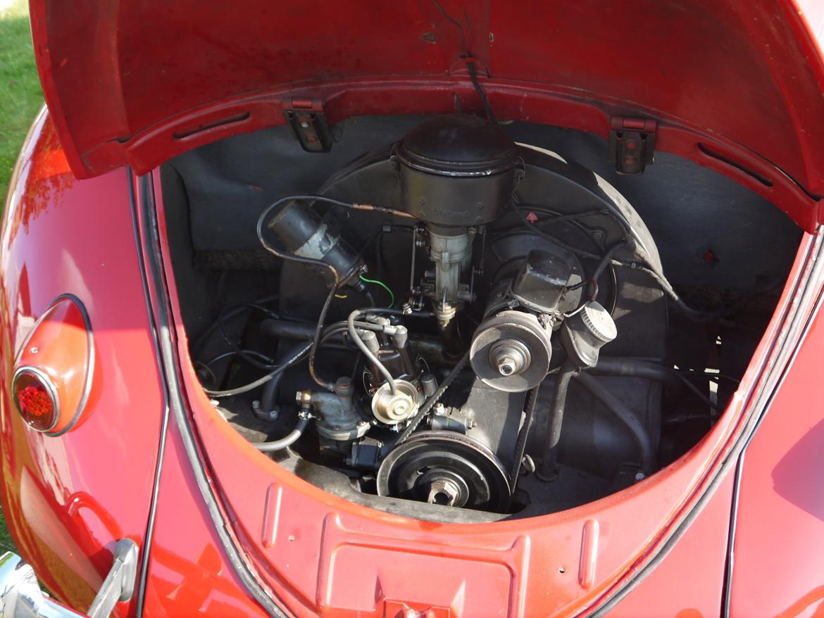 VW 1200 Bobbel "Solgt" billede 3