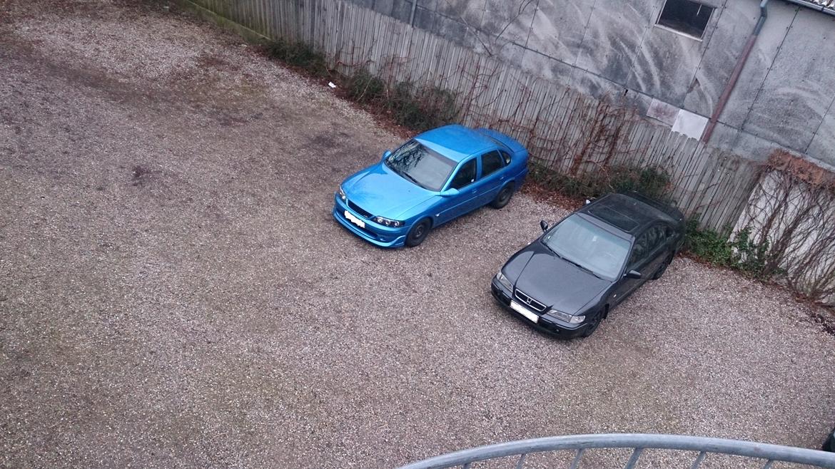 Opel vectra b (blue angel) billede 19