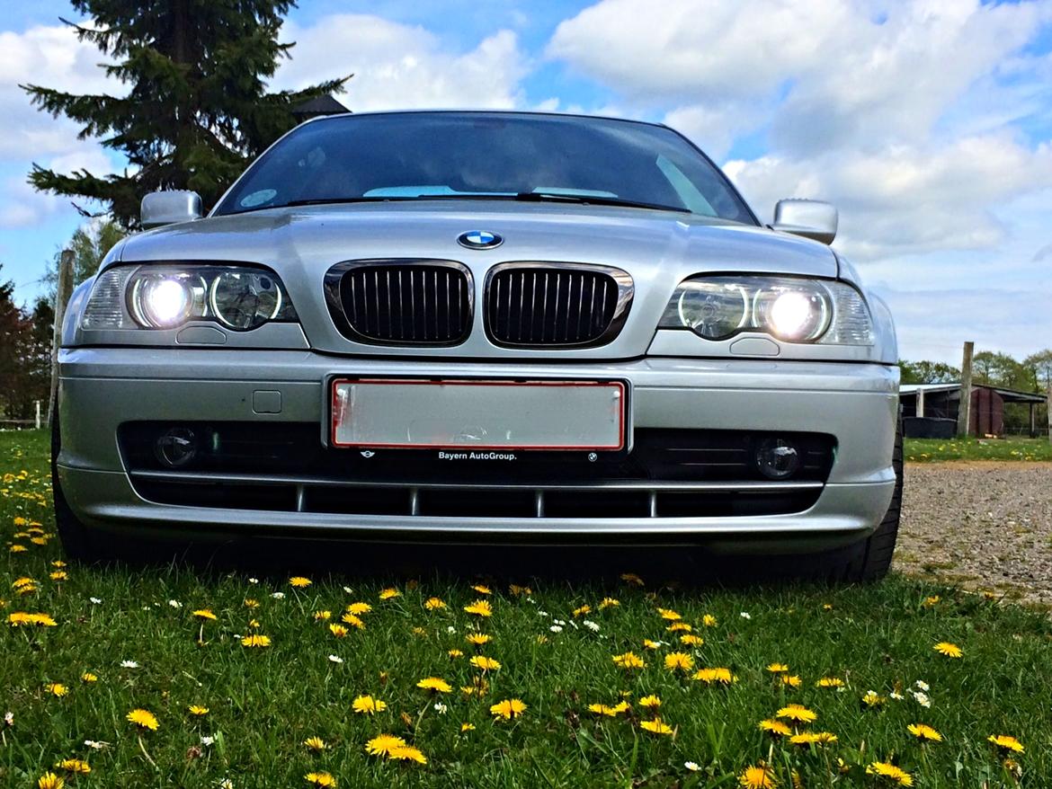 BMW 323Ci billede 1