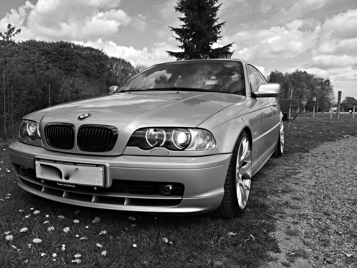 BMW 323Ci billede 5
