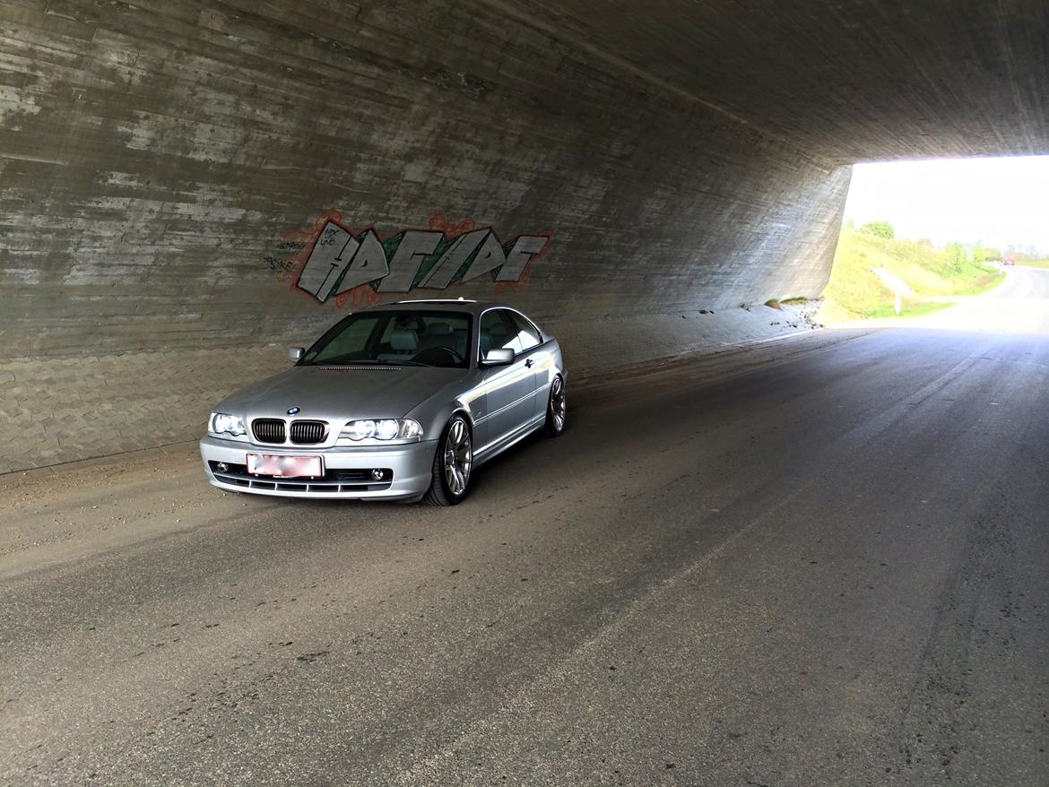 BMW 323Ci billede 20