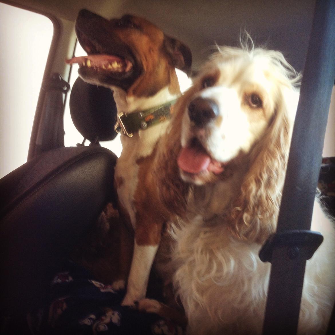 Citroën Saxo 1,6i 8v VTS billede 20