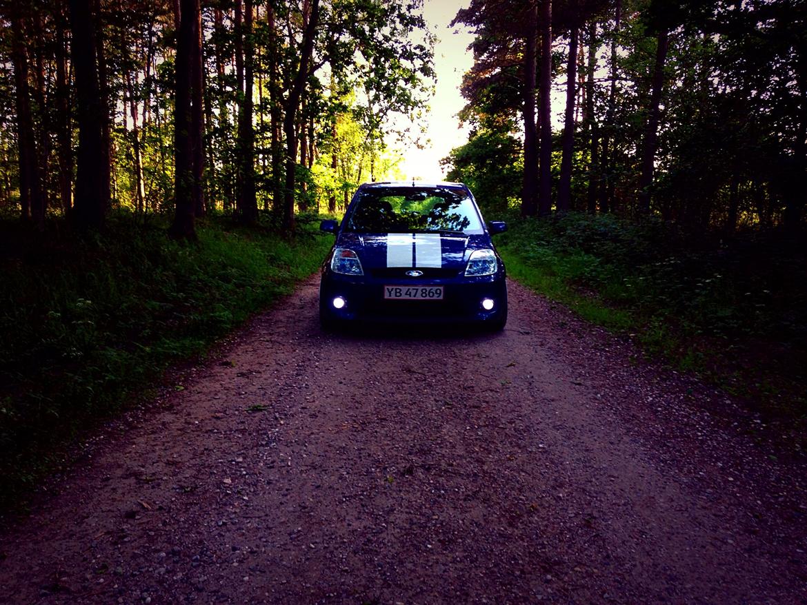 Ford Fiesta ST150 billede 2