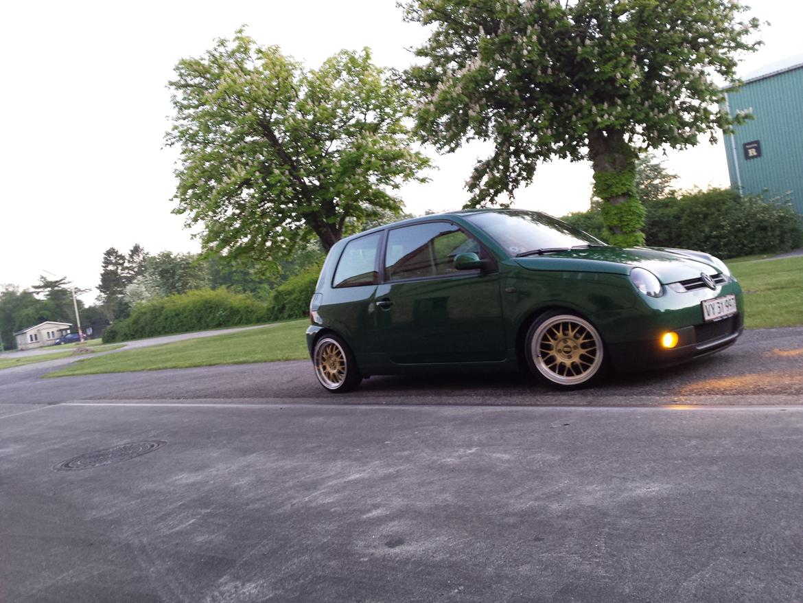 VW Lupo 3L VAG <3 billede 14