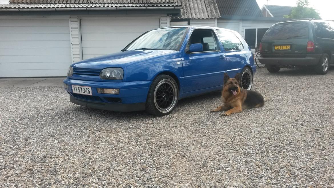 VW Golf Mk3 VR6 billede 2