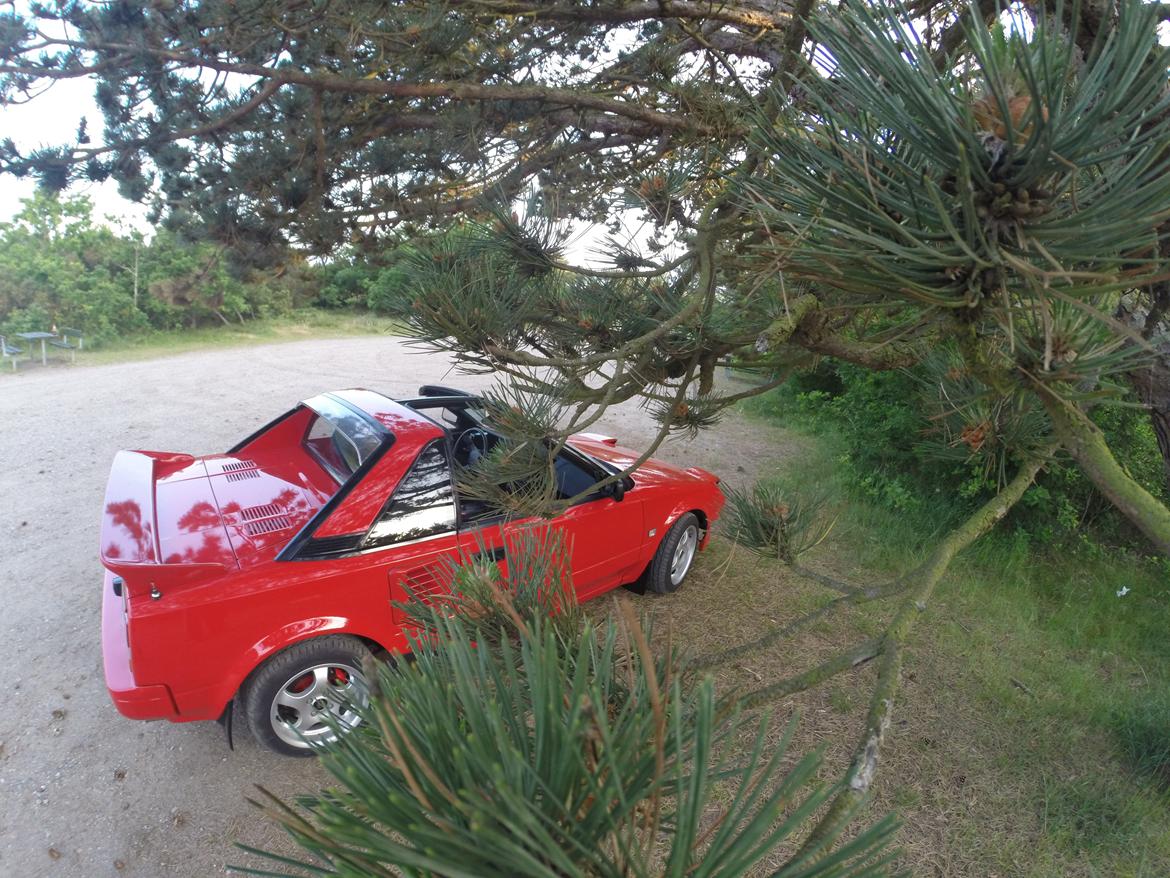 Toyota Mr2 Aw11 billede 14