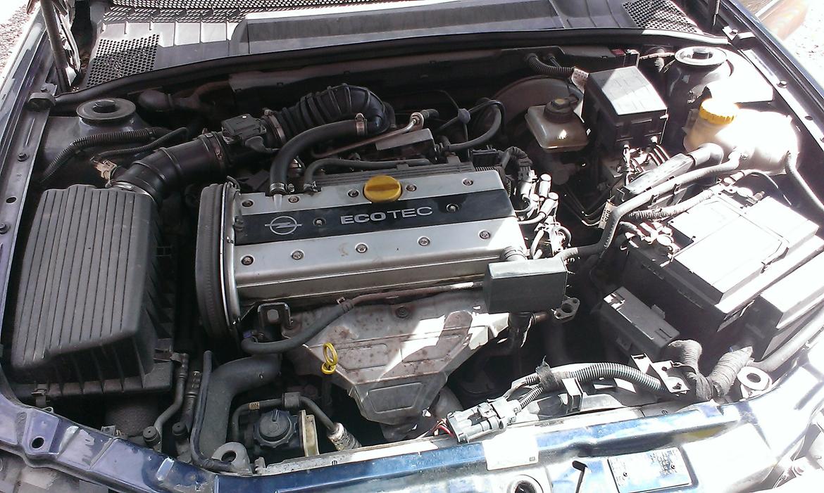 Opel vectra b billede 8