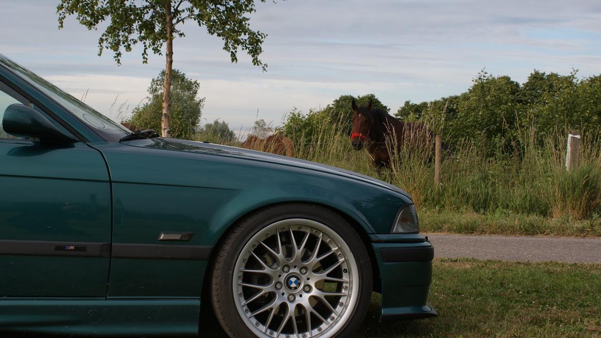 BMW E36 325i Coupe *SOLGT* billede 20