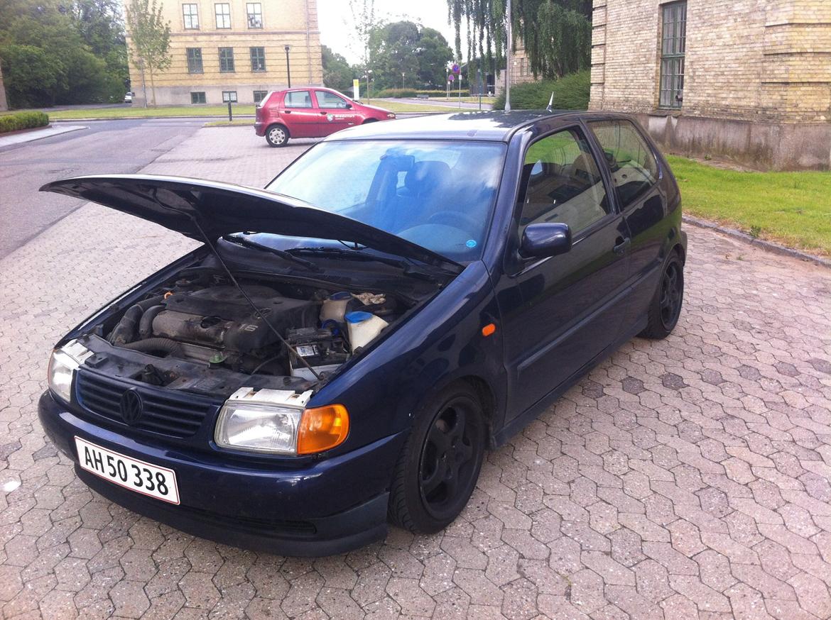 VW Polo sex'N billede 12