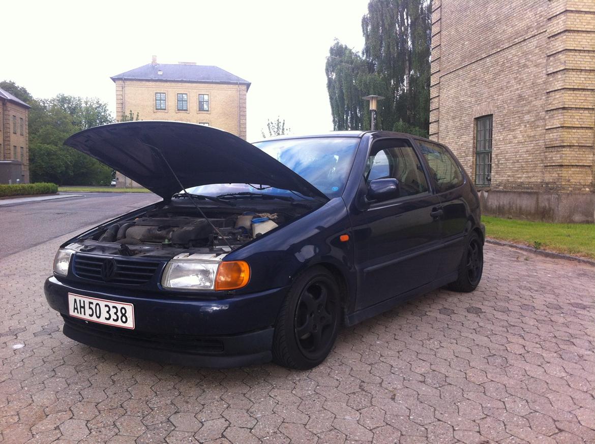 VW Polo sex'N billede 13