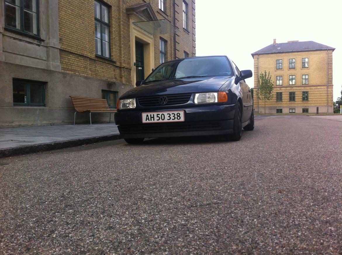 VW Polo sex'N billede 19