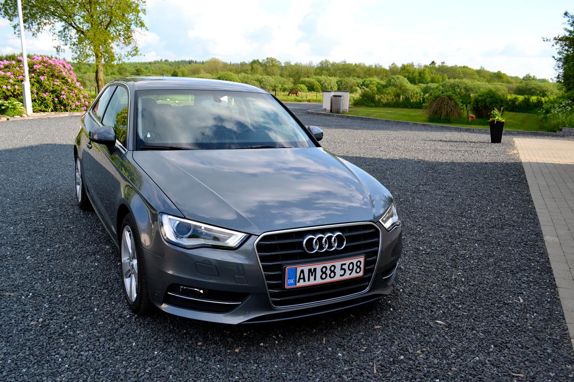 Audi A3 Ambition billede 1