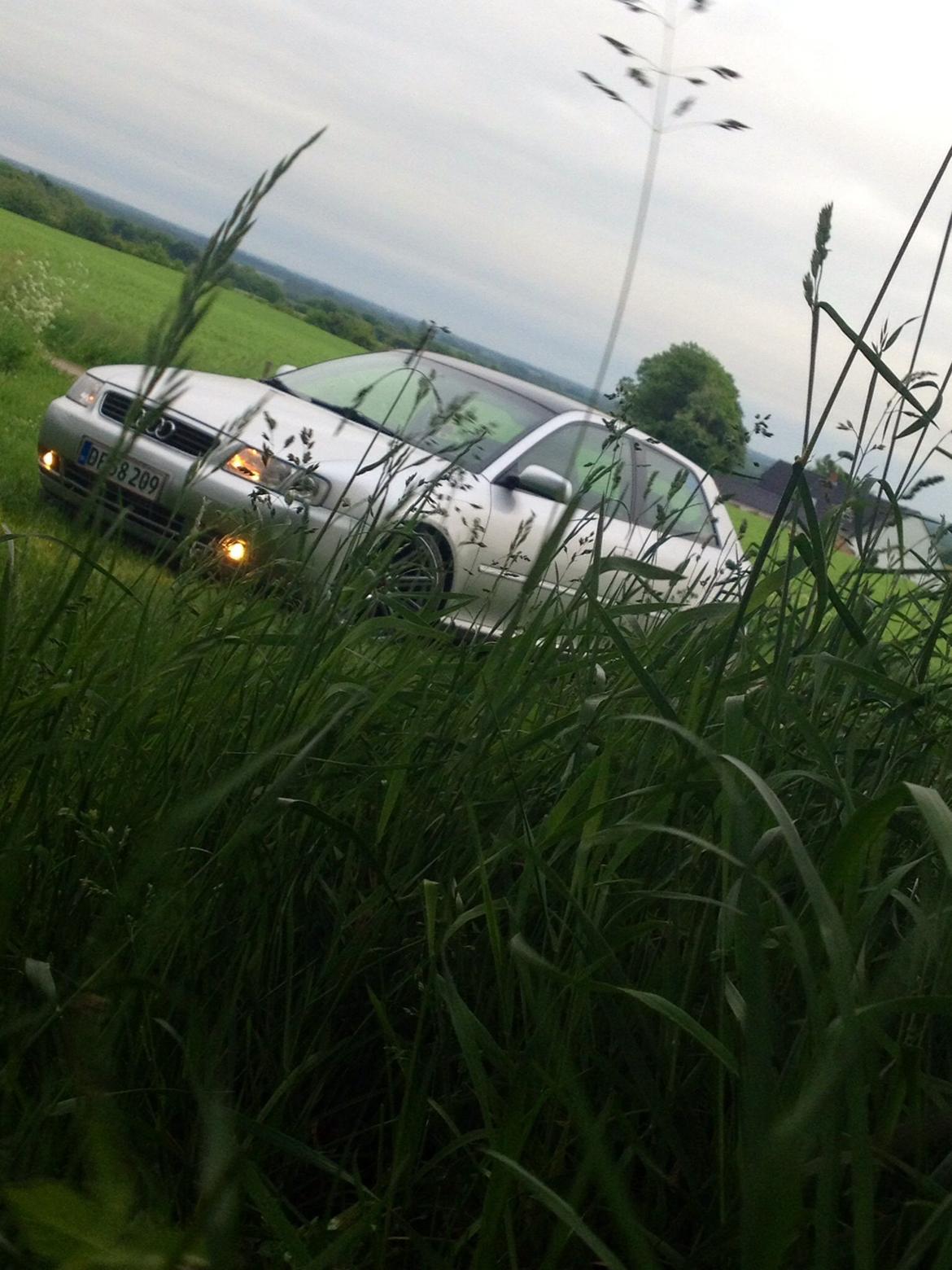 Audi A3 8l billede 2