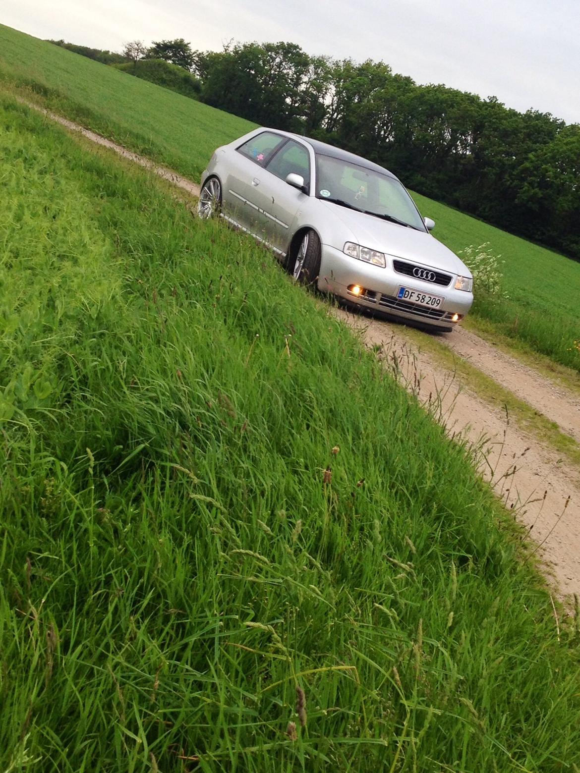 Audi A3 8l billede 3