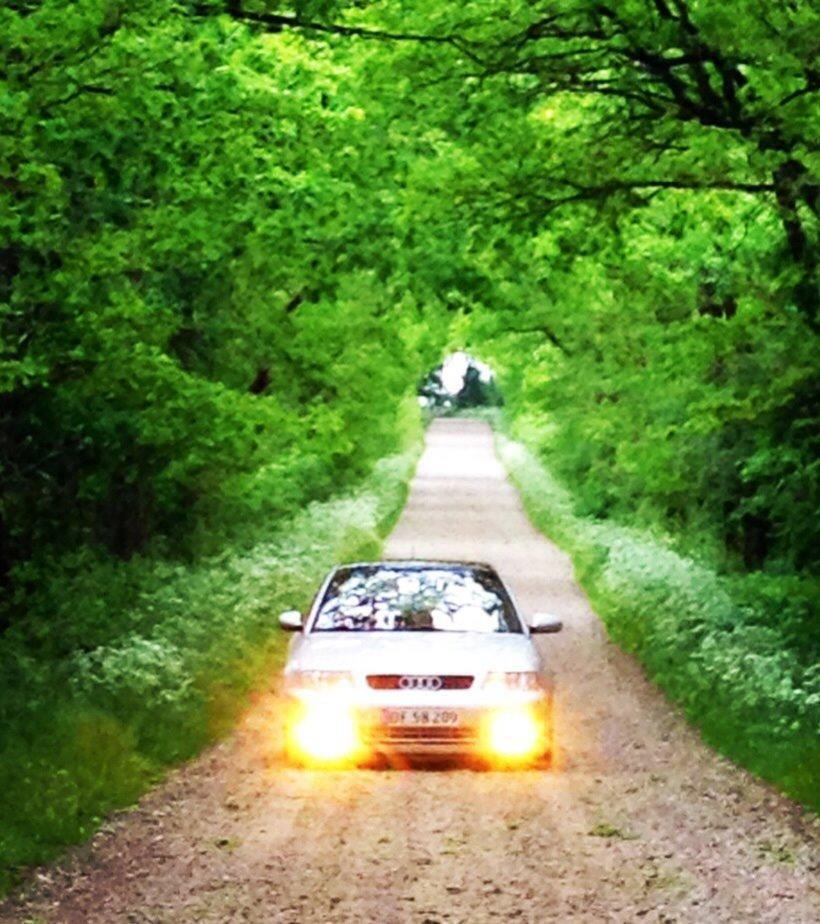 Audi A3 8l billede 4