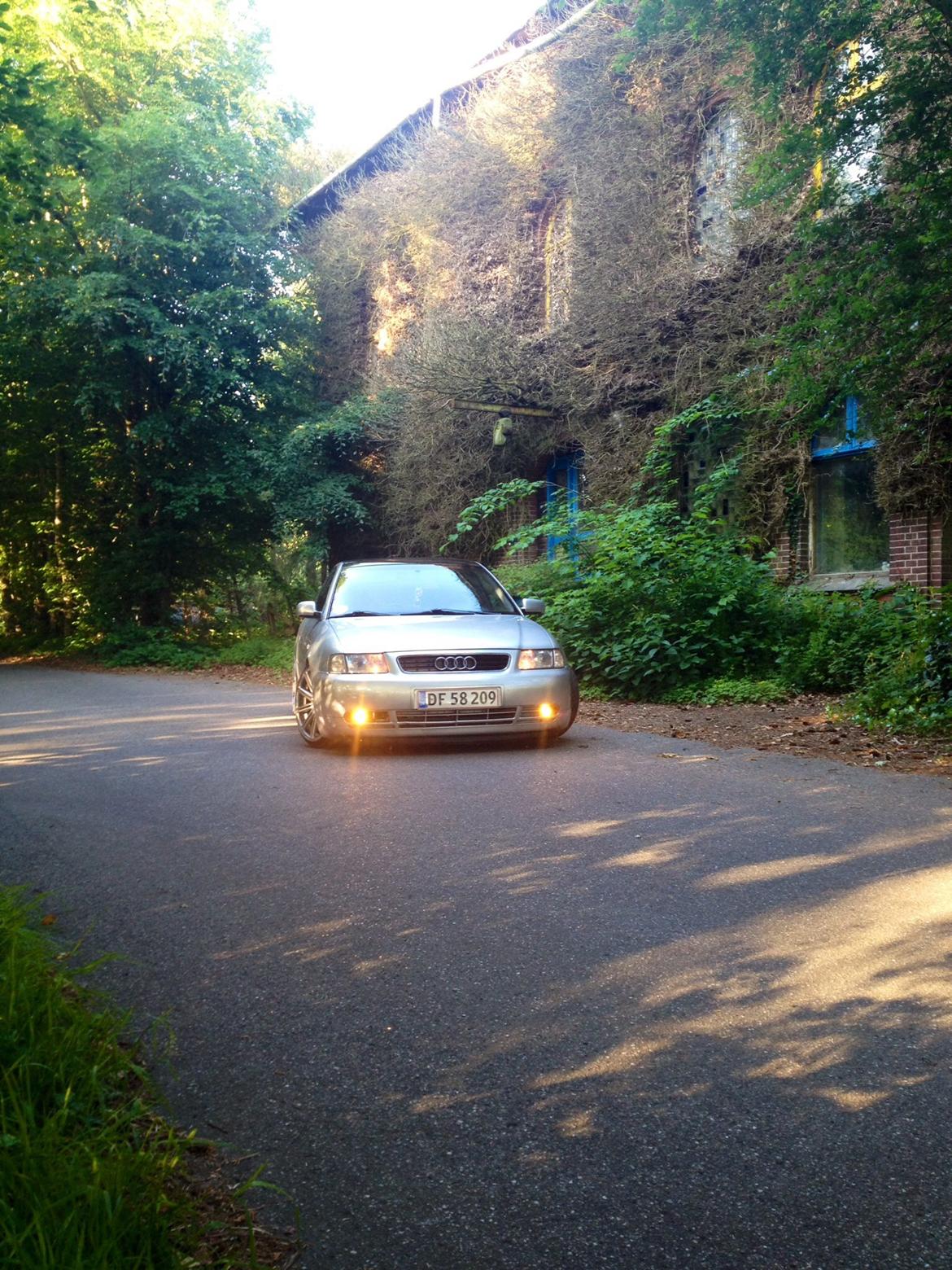 Audi A3 8l billede 13