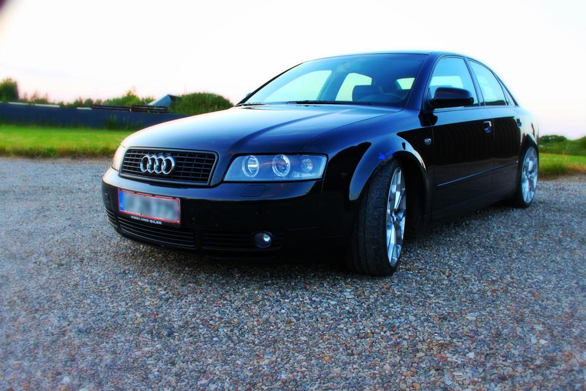 Audi A4 B6 1.9 TDI billede 7