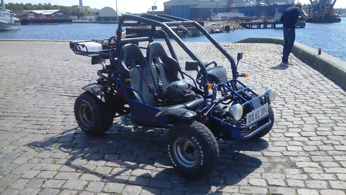 Texas Kinroad Sahara 250 billede 4