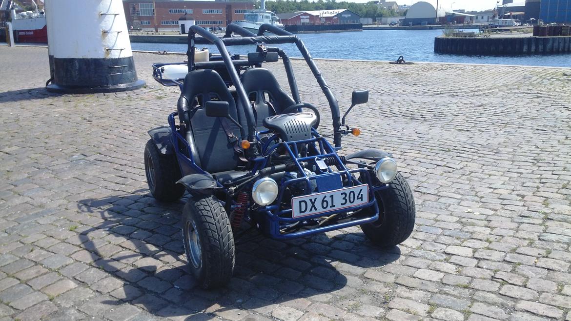 Texas Kinroad Sahara 250 billede 5