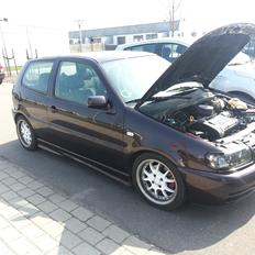 VW polo 6N 1.4 16v