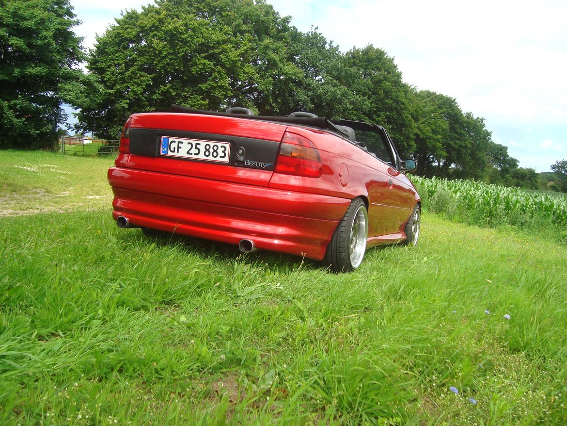 Opel Astra Cabrio Bertone Edition solgt billede 5