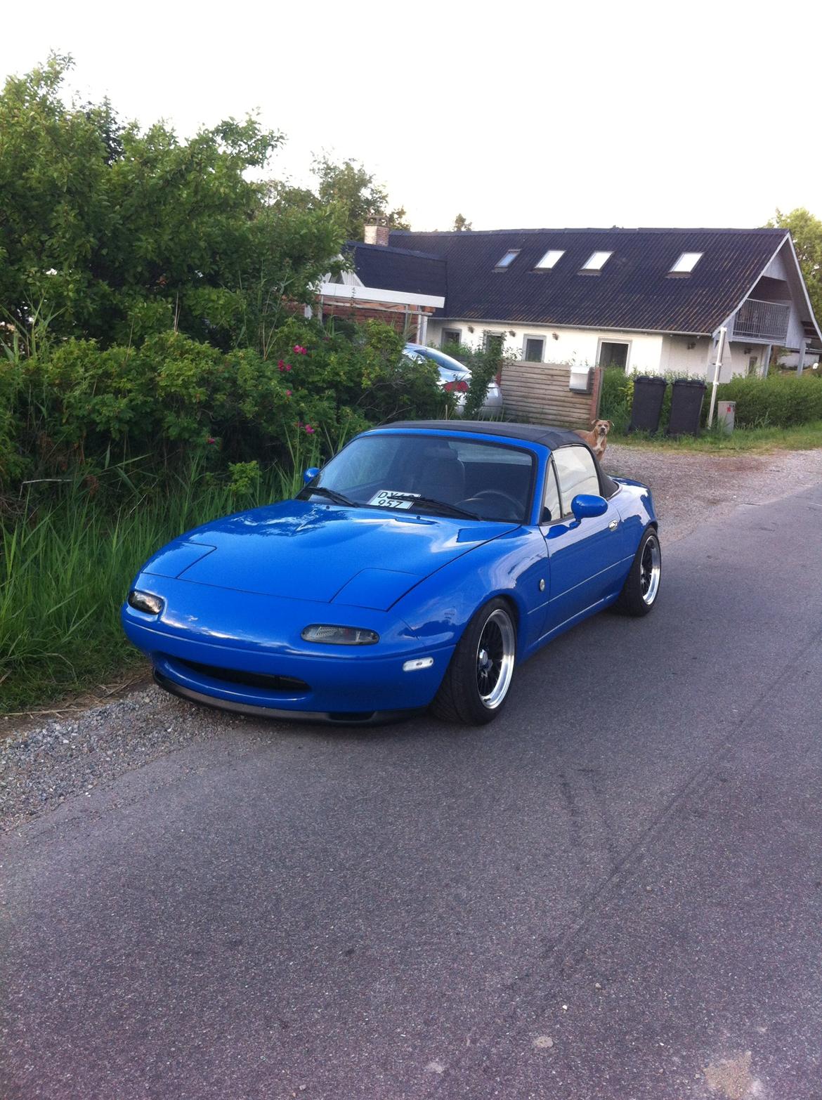 Mazda Mx-5 NA 1.6 Kompressor. - eneste billede som den ser ud nu, er sænket mere end på resten af billederne :)  billede 1