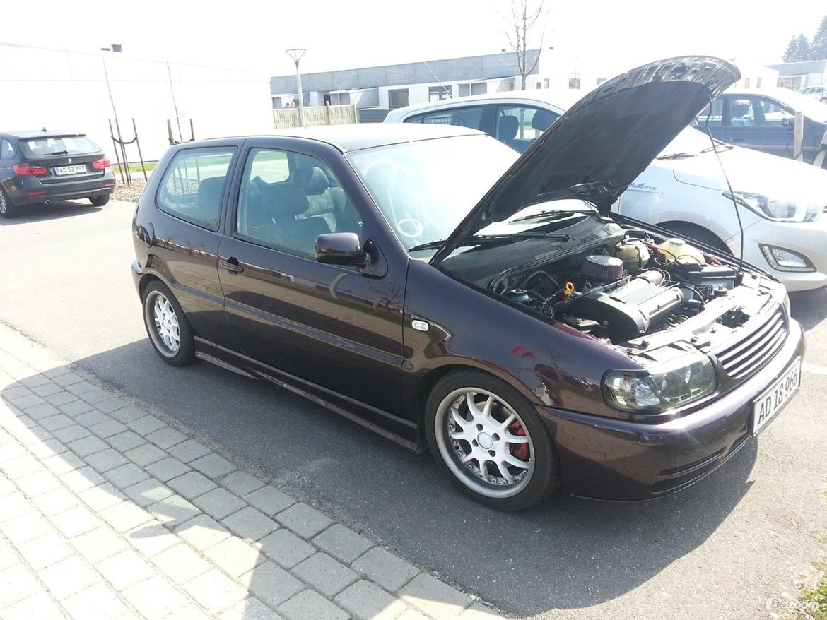 VW polo 6N 1.4 16v billede 3