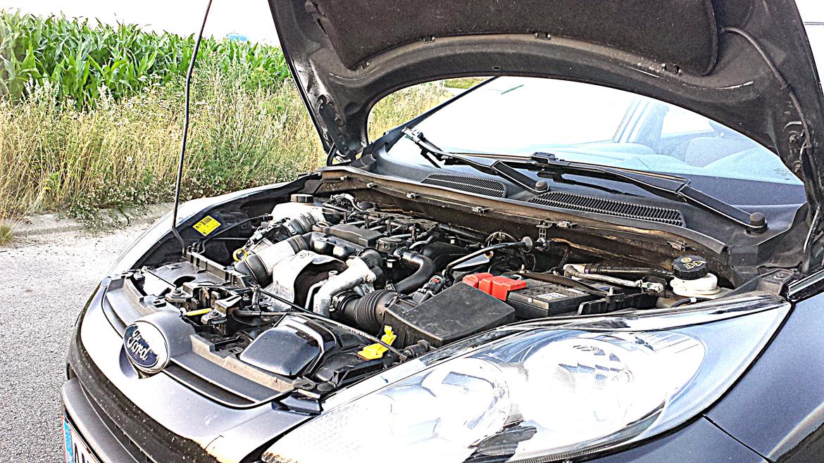 Ford Fiesta 1,6 TDCi Econetic billede 5