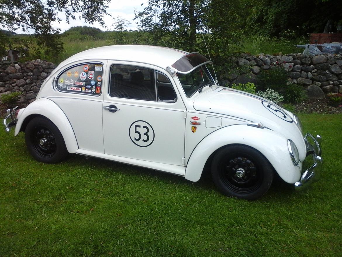 VW bobbel Herbie look billede 2