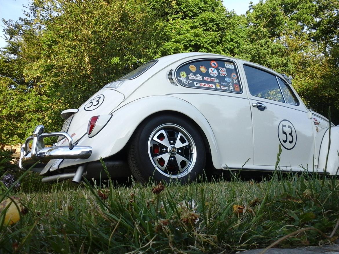 VW bobbel Herbie look billede 8