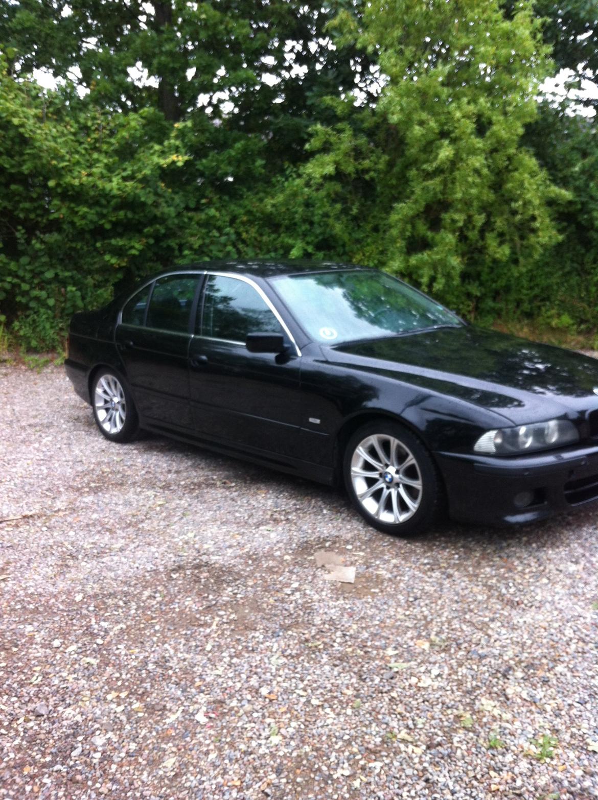 BMW e39 523i billede 2