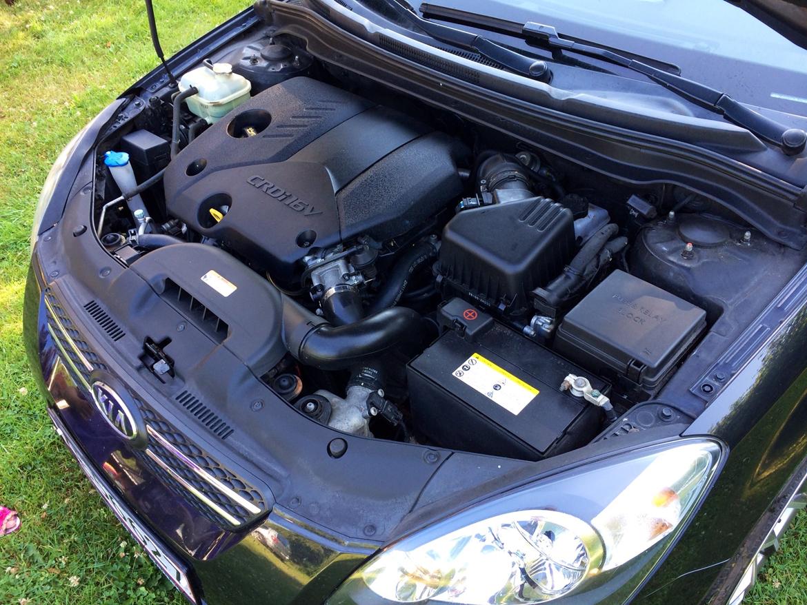 Kia Pro-ceed sport ....Solgt... billede 10