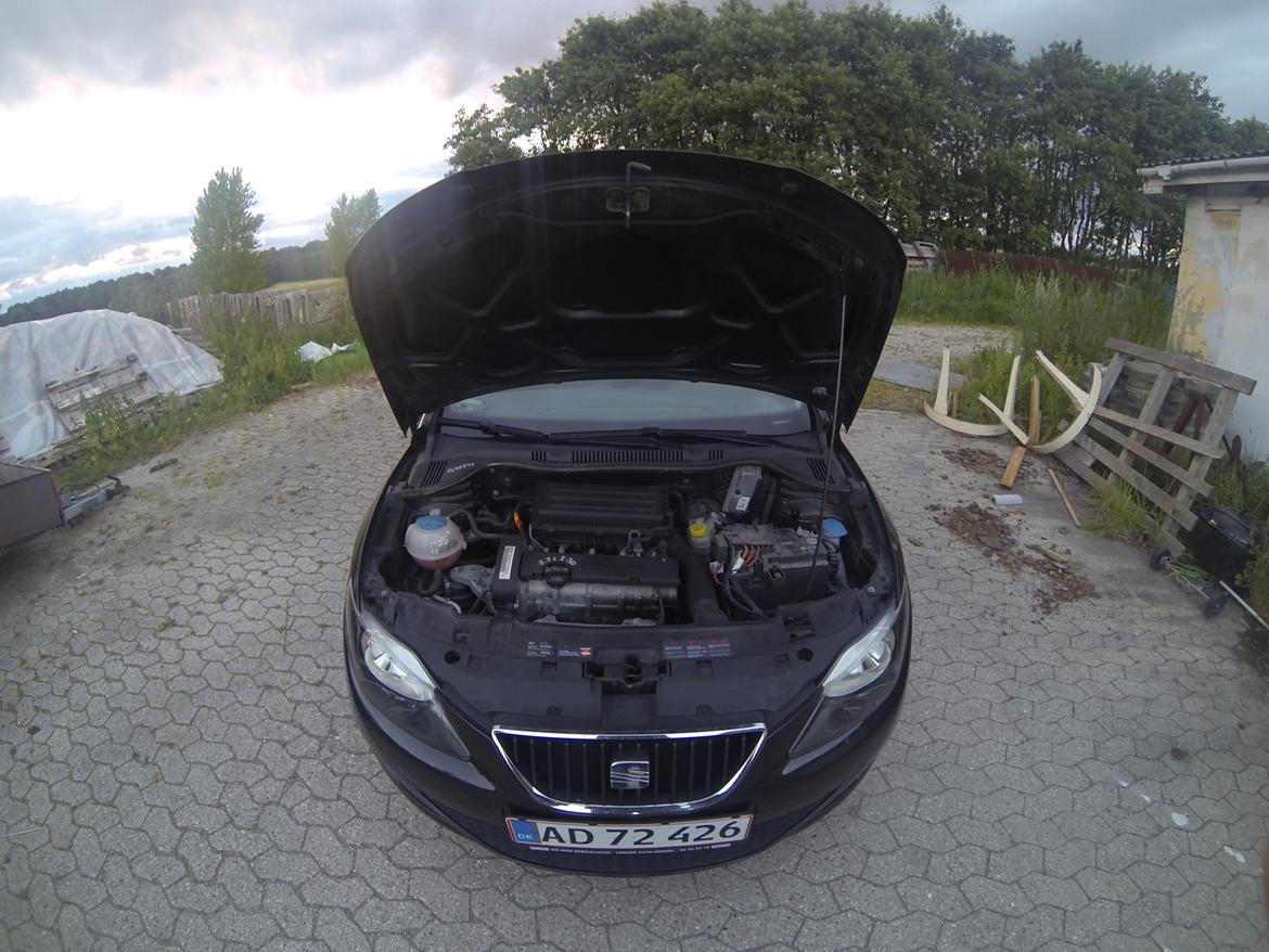 Seat Ibiza billede 7