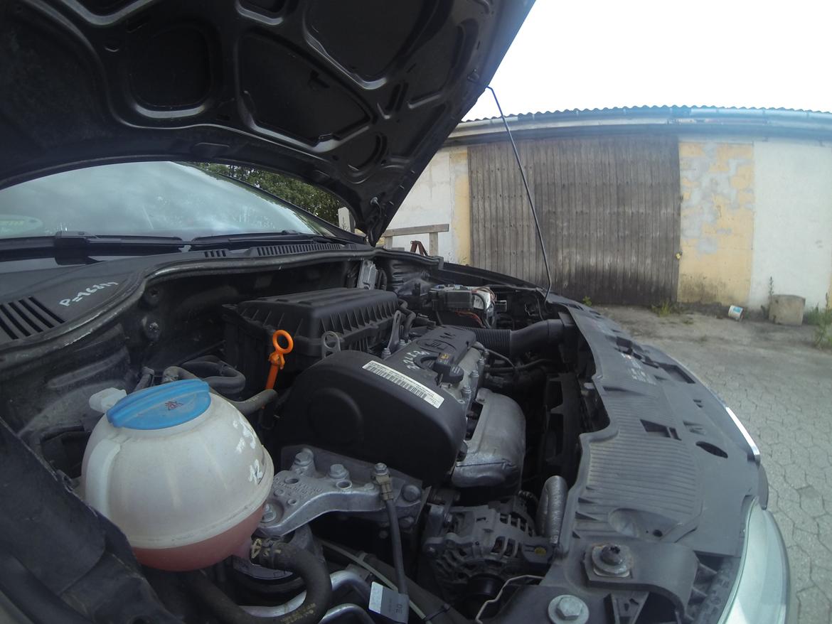 Seat Ibiza billede 8