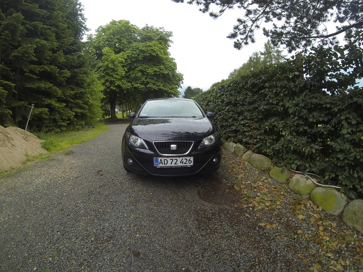 Seat Ibiza billede 14