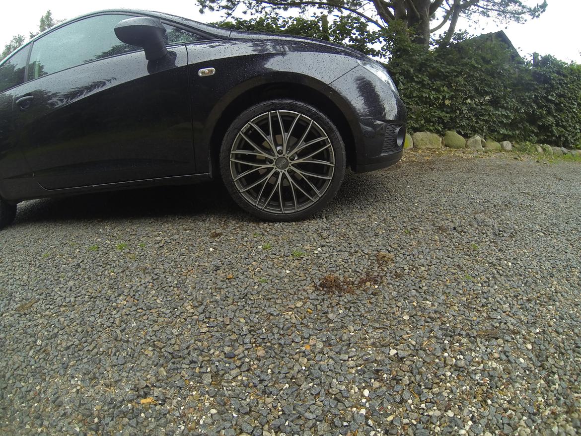 Seat Ibiza billede 13