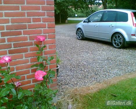 Ford Focus C-Max Ghia - Sommer billdede med 18´erne! billede 8