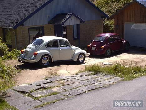 VW 1200 - De 2 søskende står og tripper for at komme ind i deres lille hule. billede 9